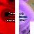Klaskyklaskyklaskyklasky Gummy Bear Song Version Split Low Voice