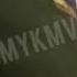 Пьяный Емельяненко в Кисловодске за рулём