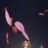 倉木麻衣 Mai Kuraki Time After Time 花舞う街で Live 演唱會 名探偵コナン 迷宮的十字路 主題曲