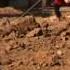 Israeli Air Strikes Hit Gaza After Palestinian Rocket Fire