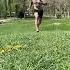 Day 106 After Divorce Fasted Hill Sprints At Midday Shirtless Barefoot Divorce Nocontact