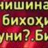 Алиджон Сафаров