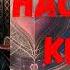 Аудиокнига Наследие крови Книга 4 Попаданецы