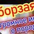 Русская псовая борзая большущее интервью о породе