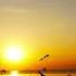 Waltz In The Sun Stamatis Spanoudakis