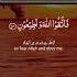 Surah Al Imran Most Soothing Quran Recitation Islamicrecitation Recitation Quranrecitation