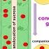 Types Of Plant Tissues