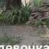Внучку разорвало на три части дедушка погибшей в Донецке 18