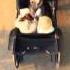 Lizzy Bennet Nanny
