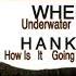 Hanky How Is It Going To End