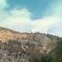 Youtube Hammali Music Russia Jony Uzbekistan Mp3 Slowed Like America