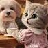 APT 노래부르는 강아지 고양이 강아지 카페 커피 로제 아파트 노래부르는강아지 Ai Shorts