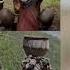 Aborigines Of 33 Degree
