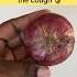THIS STOPS COUGH IMMEDIATELY