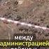 РОЗОВЫЕ ОЧКИ ГЛАВЫ ВИКУЛОВСКОГО РАЙОНА И ЕГО ЗАМЕСТИТЕЛЕЙ