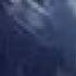 The Number Twelve Looks Like You Bambi The Hooker