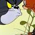 Tom Jerry Frenemies For Life Classic Cartoon Compilation WB Kids