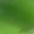 The Gummy Bear Song Long English Version In Super Duper Low Pitched FIXED