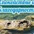 Утренняя медитация медитация утренняямотивация утренниеаффирмации спокойствие благодарность