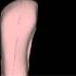 Foot Scan Professional Software