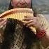The Weeknd Blinding Lights Pan Flute Zampoña Cover By Atipak Christian Panflute