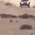 لولا الحكومه