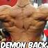 FST 7 Back Workout By For Natural Lifters