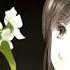 洛天依 王朝 Luo Tianyi Wang Chao 梨花雨 Pear Blossom Rain English Sub