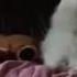 DON T STOP ME GABE Bork REMIX DOG Extend