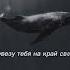 Cheshirsky Синий кит Newmusic Recommended Release Music Track Newtrack