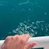 Чёрное море море дивноморское черноеморе краснодарскийкрай отдых корабль