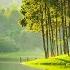 Gentle Music Calms The Nervous System And Pleases The Soul Healing Music For The Heart And Blood