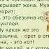 Анекдот про кота