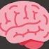 Mindset Of Successful Programmers
