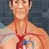 1 Tablespoon A Day Can Clear Clogged Arteries And Blood Vessel