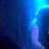 Krisiun The Will To Potency Live SoundDock14 Dietikon