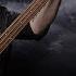 TrueFire Live Stu Hamm Bass Guitar Lessons