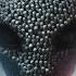 Rok Nardin The Dark Army Epic Powerful Hybrid Orchestral Dark Halloween 2016