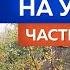 Финальная серия моей жизни на улицах Якутска Все ли получилось