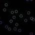 ZONE OUT With These Bouncing Circles