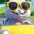 A Rabbit Is Driving A Car Wow Wonderful