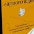 Принцип черного ящика Мэтью обзор книги