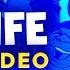 Sing Along To The Sea Life The Chipmunks Channel
