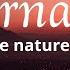Le Surnaturel Est Le Naturel De Dieu Adoration PROPHETIQUE Au Piano