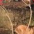 2022 California Deer Hunting SCOUTING D ZONE