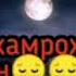 агар касеро дуст дошти бисёр каҳри накун