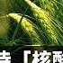 如何看待 核酸大王 张核子进军预制菜市场 知乎讨论