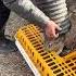 Bunny Delivery Chute ENGAGED This Farmer Is A Genius Rabbitfarming Cutebunnies Funny
