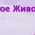Практика Мое тотемное животное