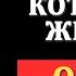 Правда о женщинах которые ЖИВУТ ОДНИ без мужчины Карл Юнг